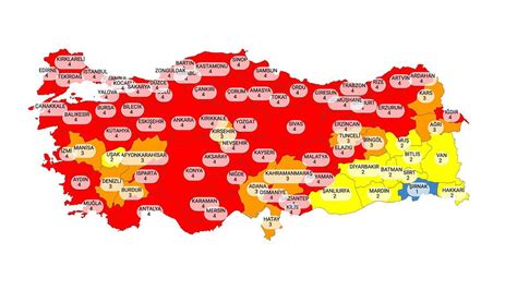 Türkiye korona risk haritası